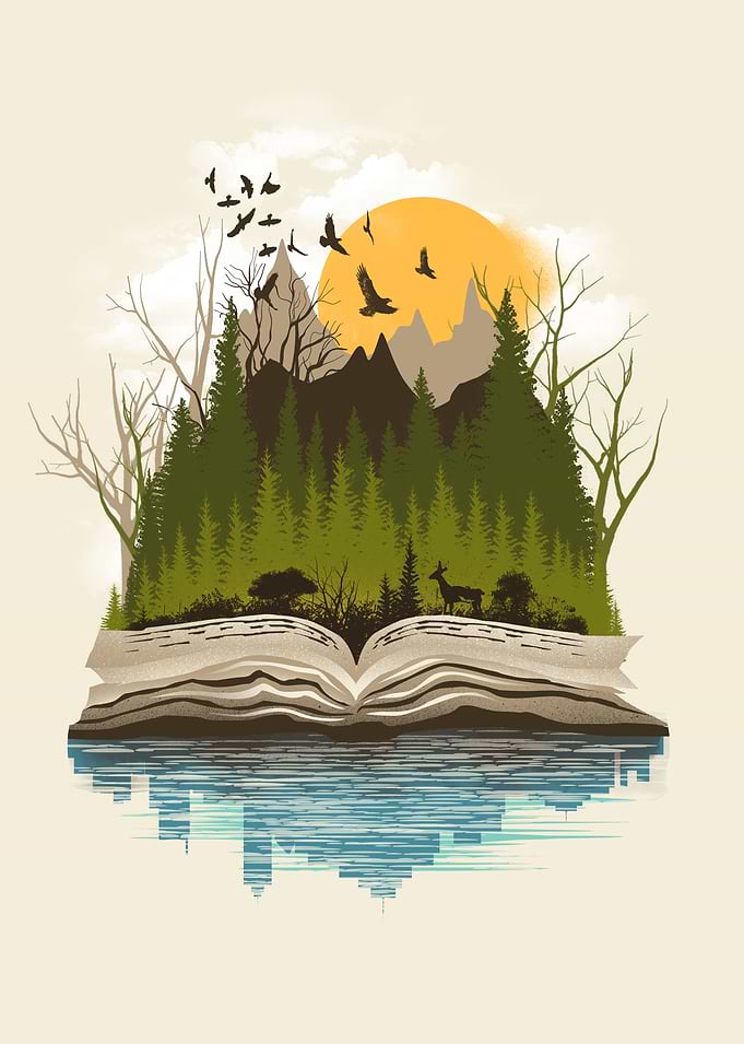 Nature Reflection