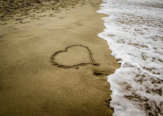 Heart