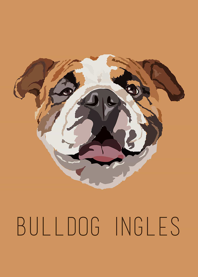 Bulldog ingles!