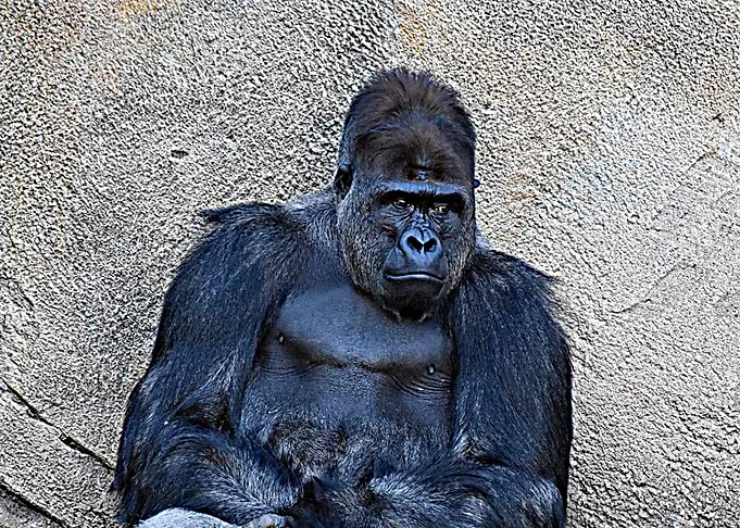 Dad chilling