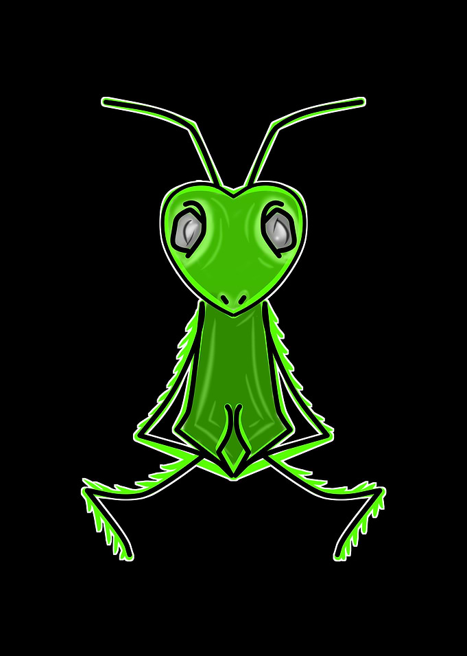Praying Mantis