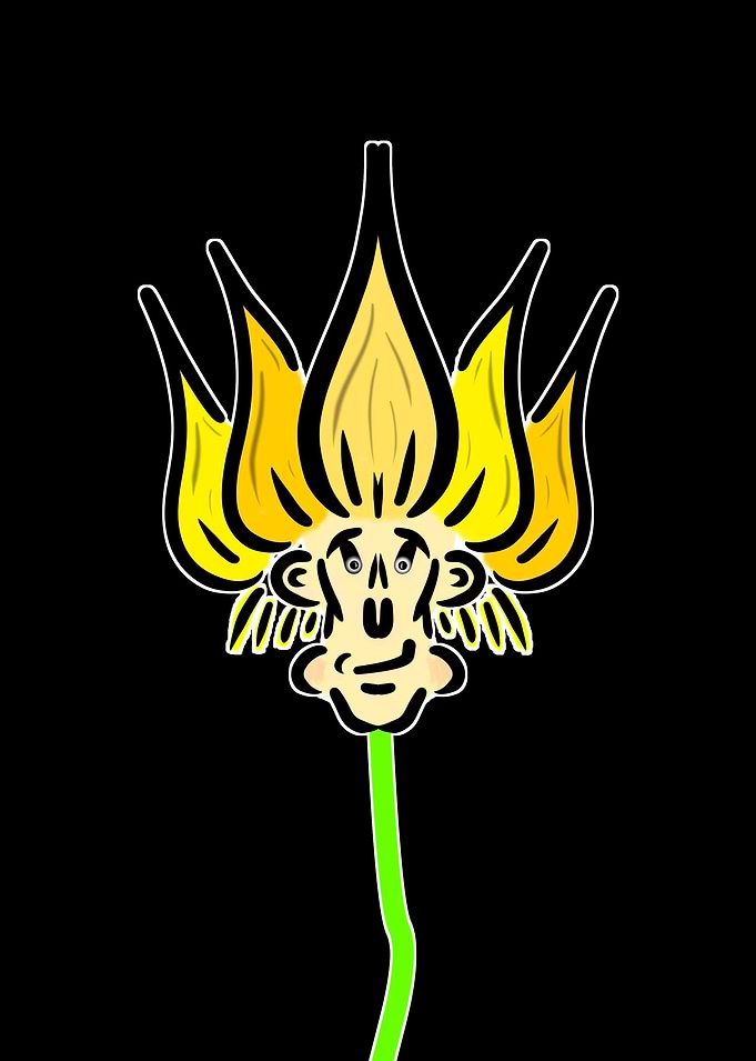 Dandelion Head