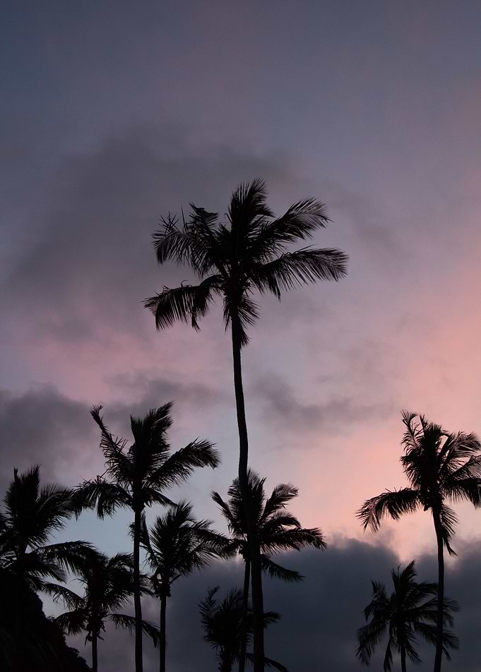 tropical storm