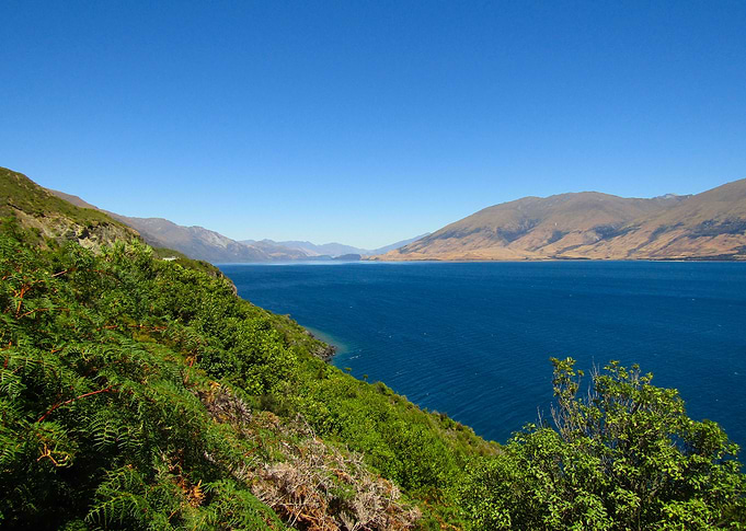 Lake Wanaka
