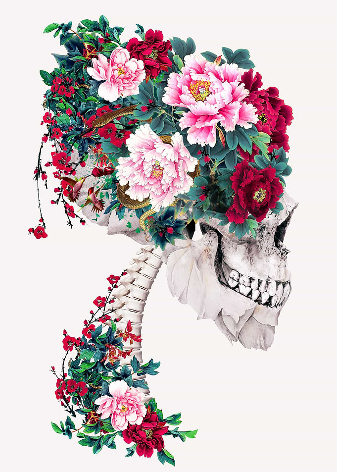 Skull with Peonies