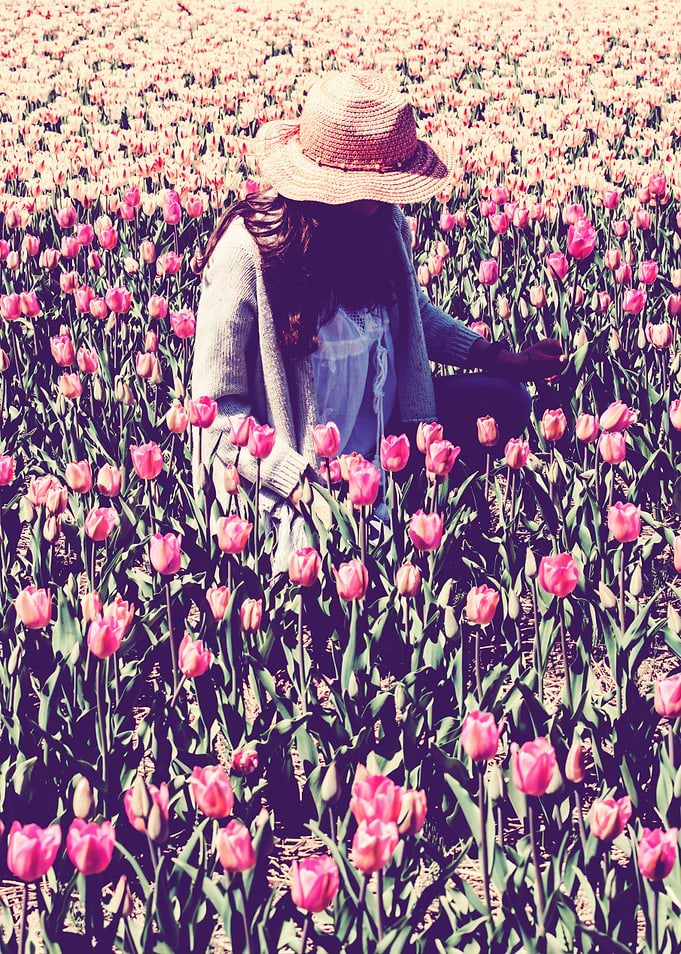 Girl in Pink Hat in Field of Flowers: Pink Tulips