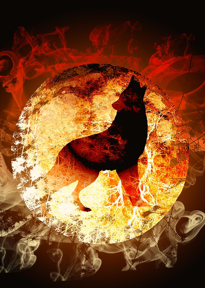 Fire Wolf