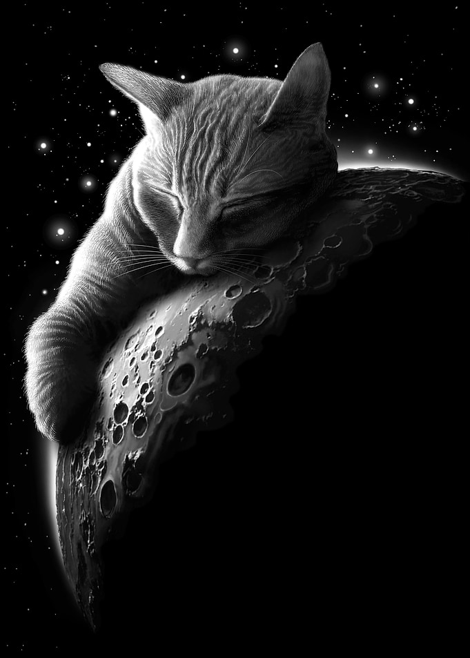 MOONCAT