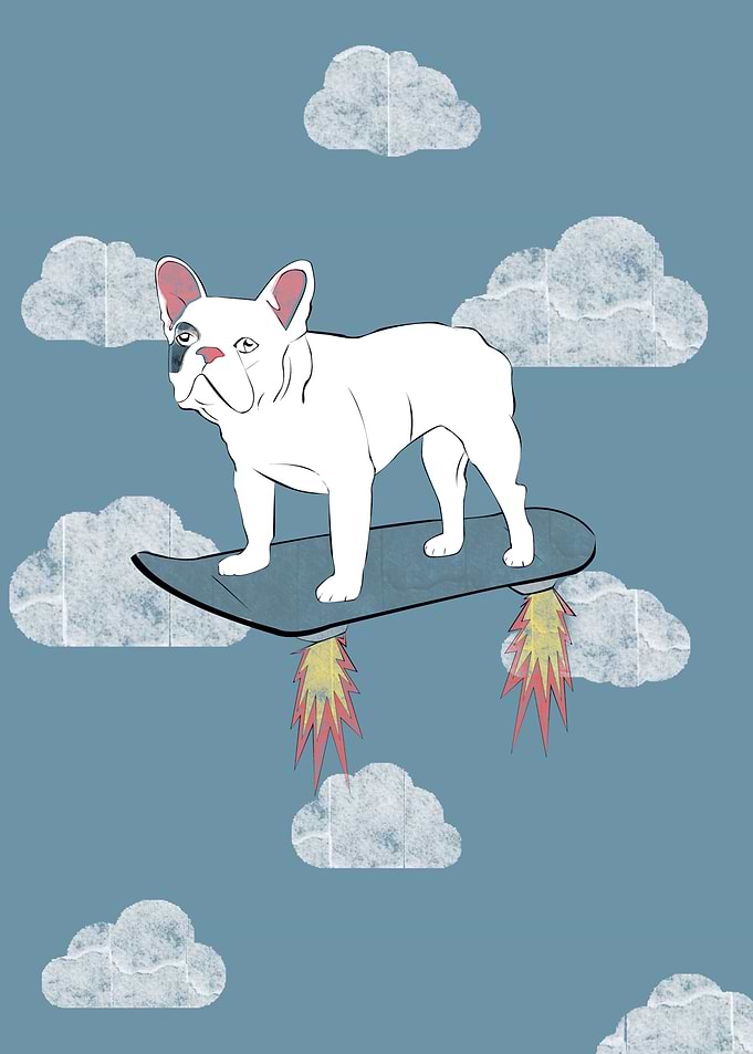 Hoverdog