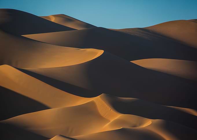 Magical Curves