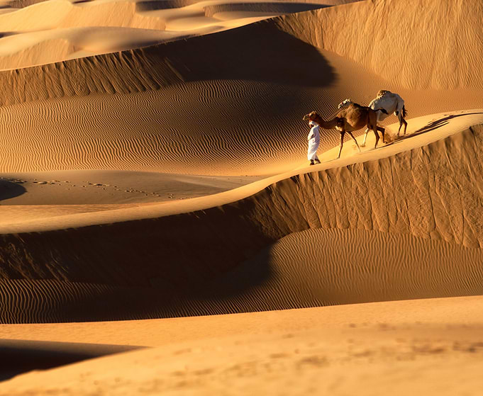 Abu Dhabi Desert