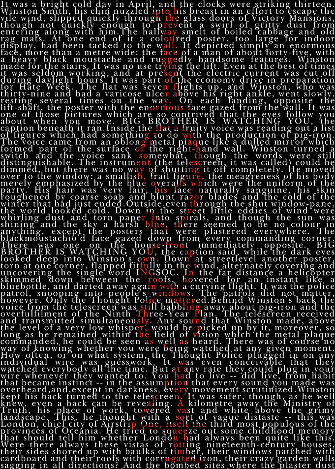 1984 text art Poster
