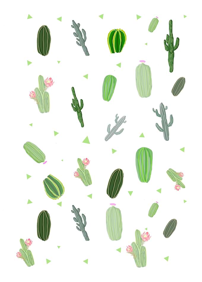 Cactus Pattern