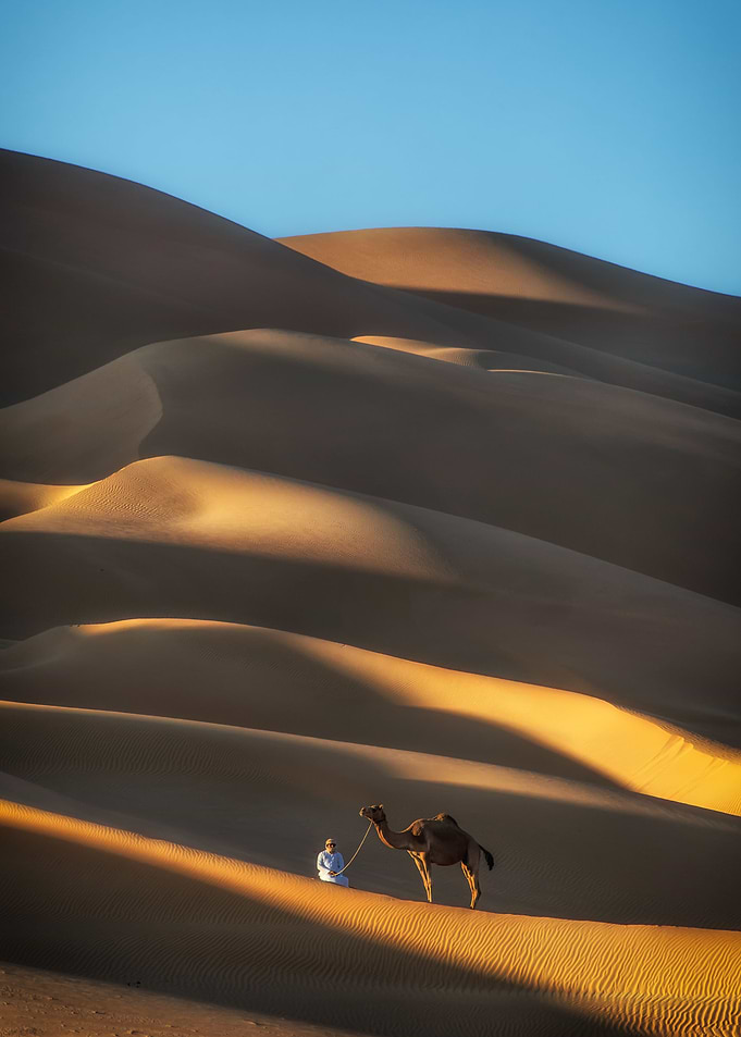 Liwa Desert Beauty