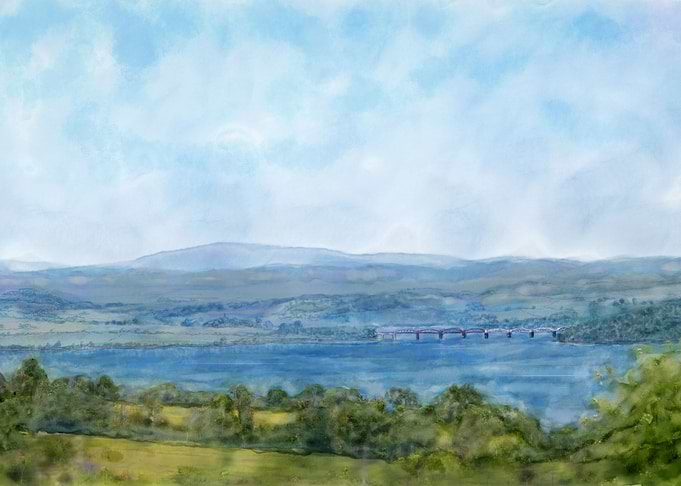 Tamar View