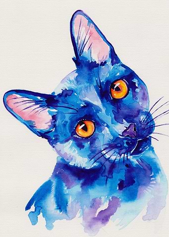 Black cat in blue