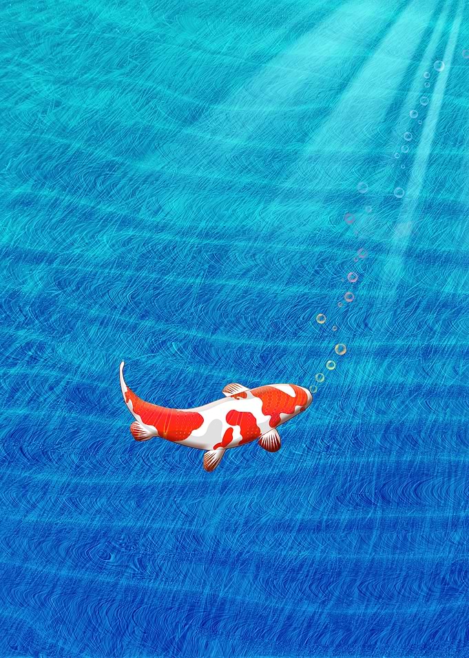 the last koi