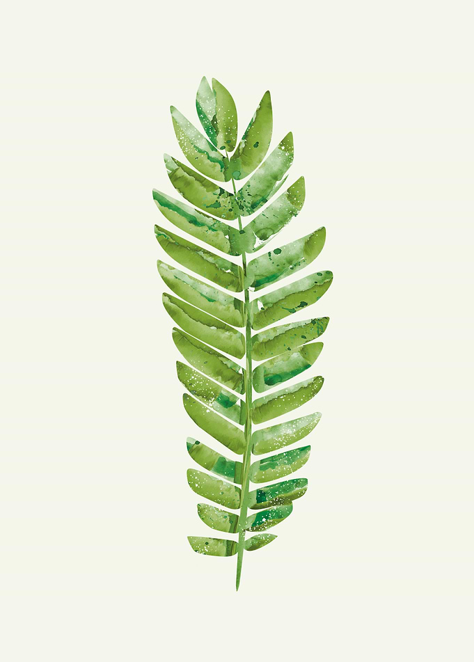 Tropical Leaf