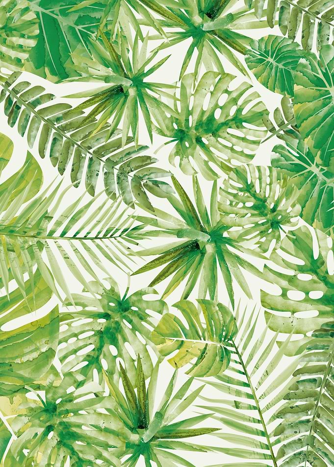 Tropical Pattern 3
