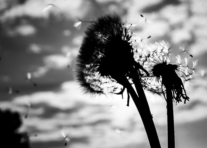 To blow away