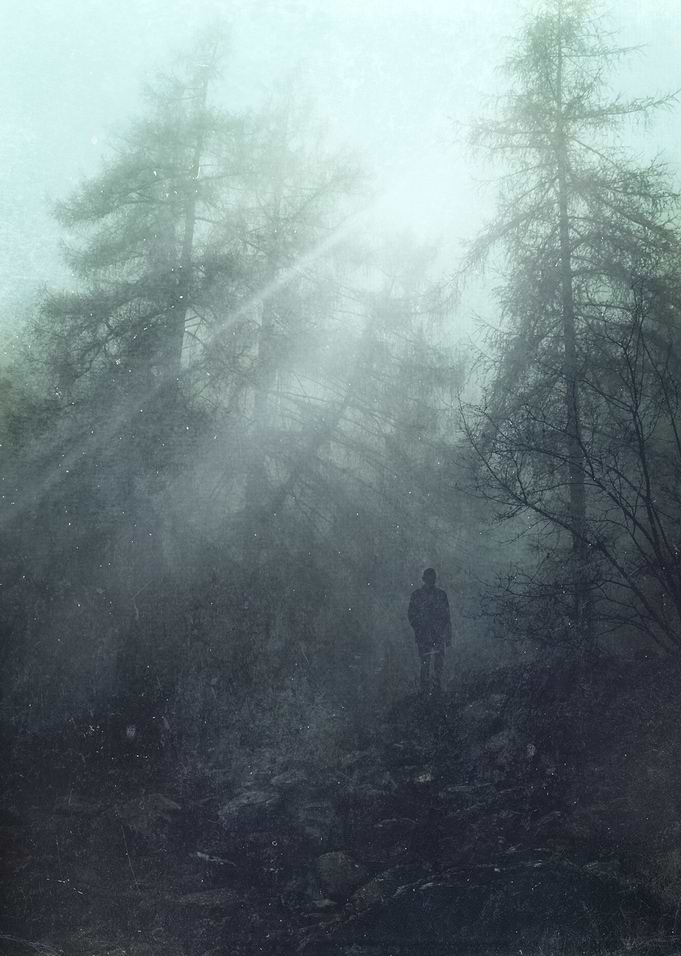 enter the wild