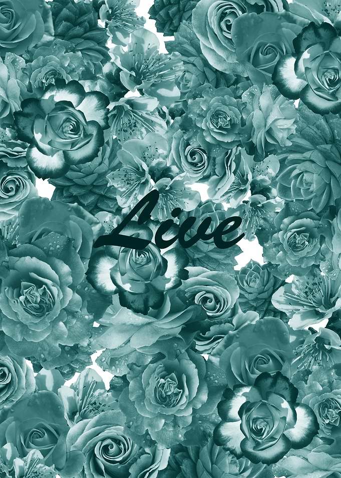 FLOWERS 3 LIVE