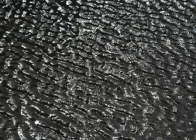 black waters of Sniardwy lake