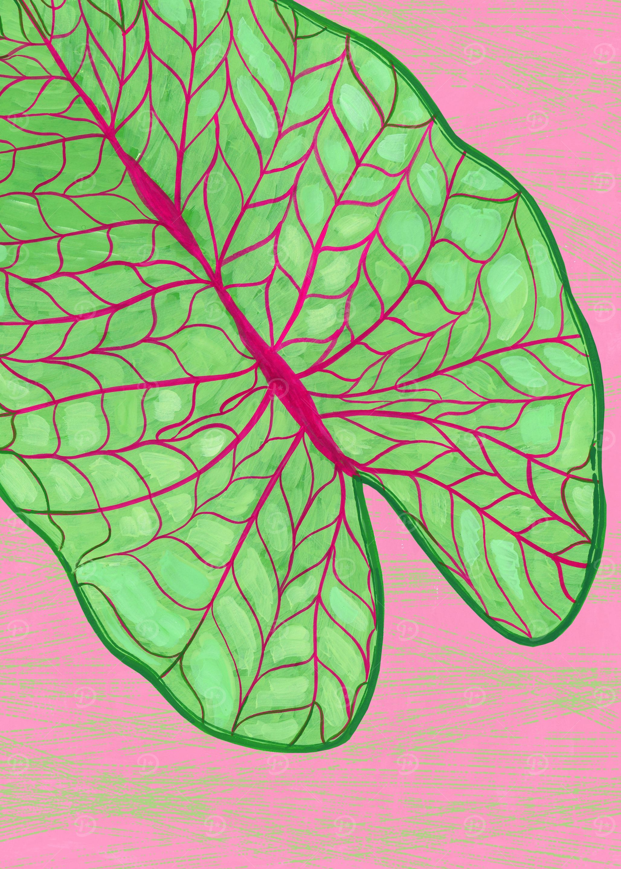 exotic leaf