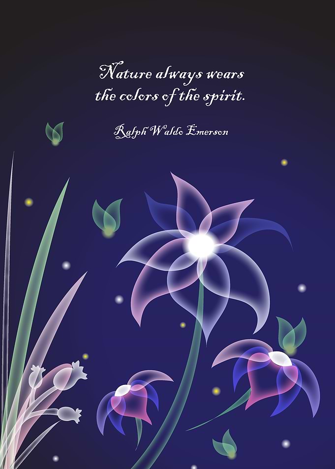 Nature of My Dream