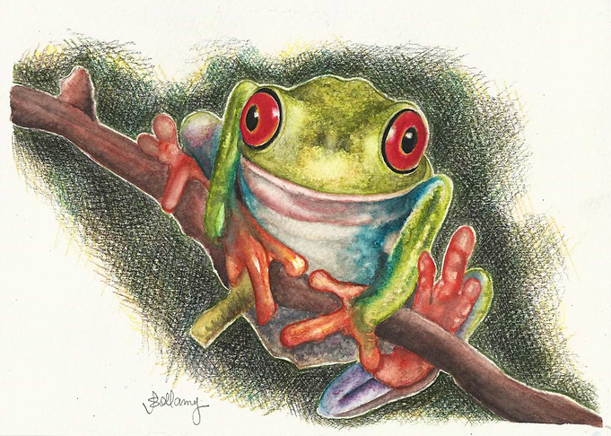 Frog