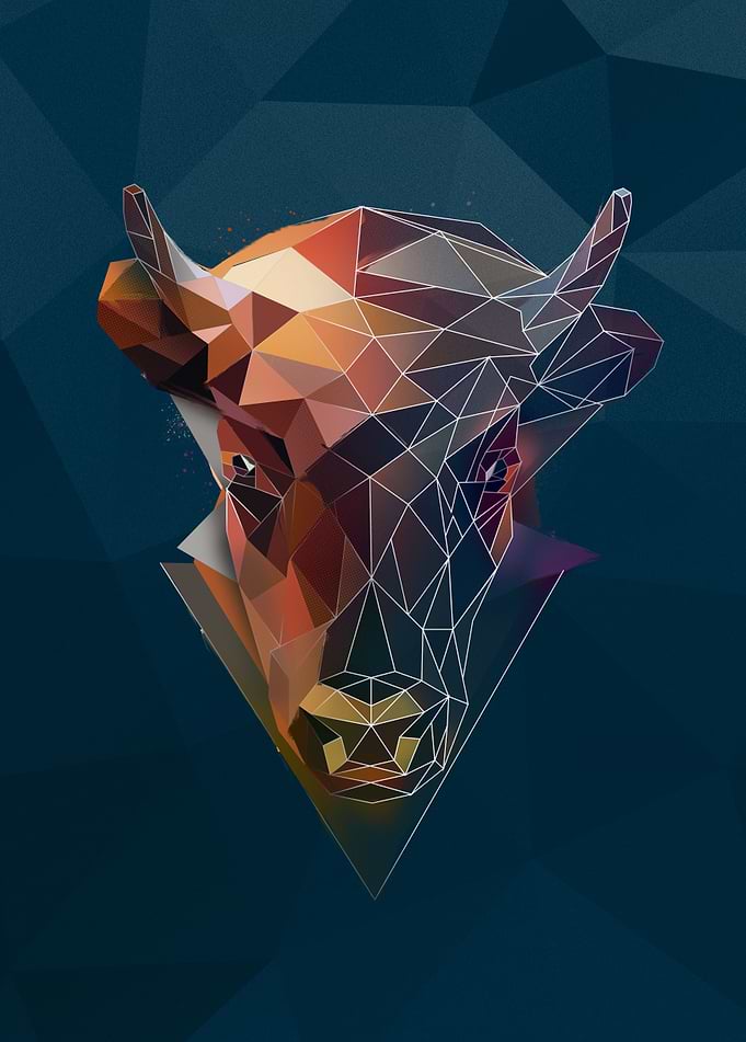 Bison - sketch