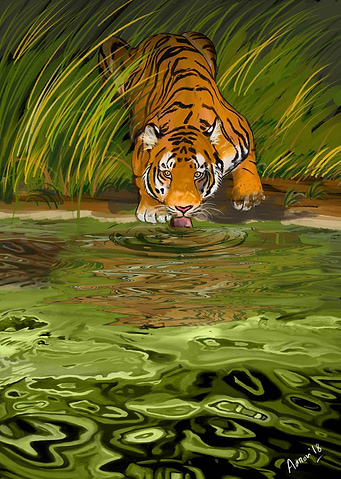 Latest drop