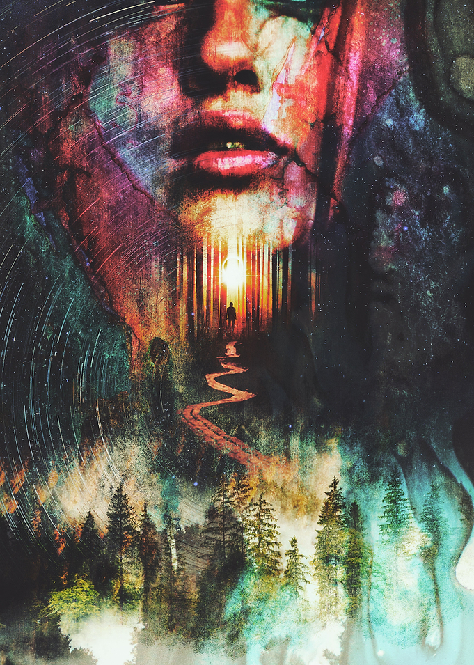 The Illusions Forest