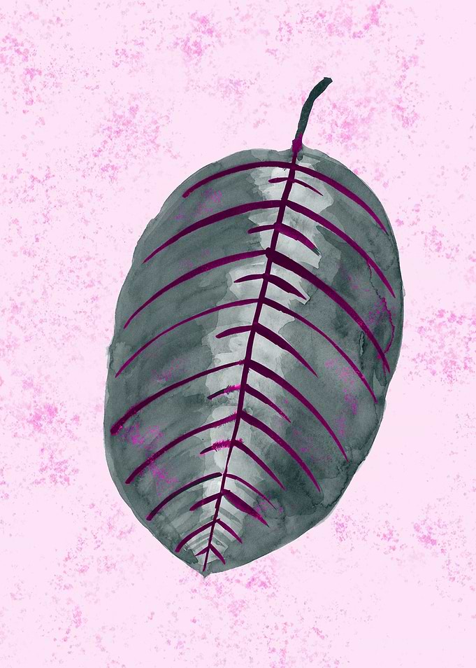 minimal plant10