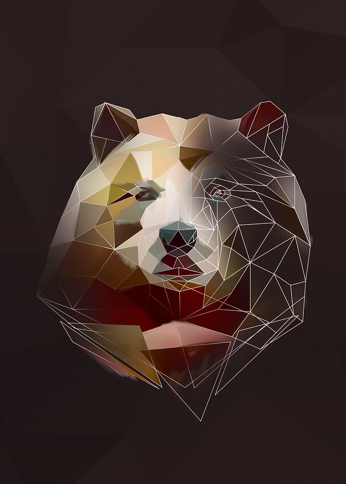 Bear - sketch