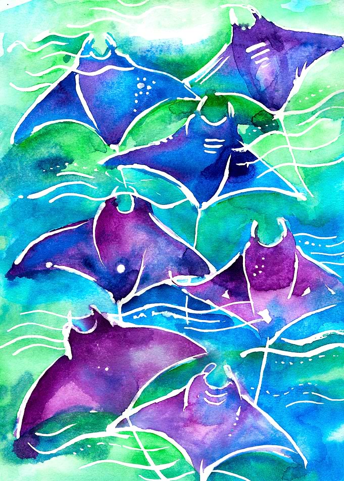 Manta Ray Watercolor