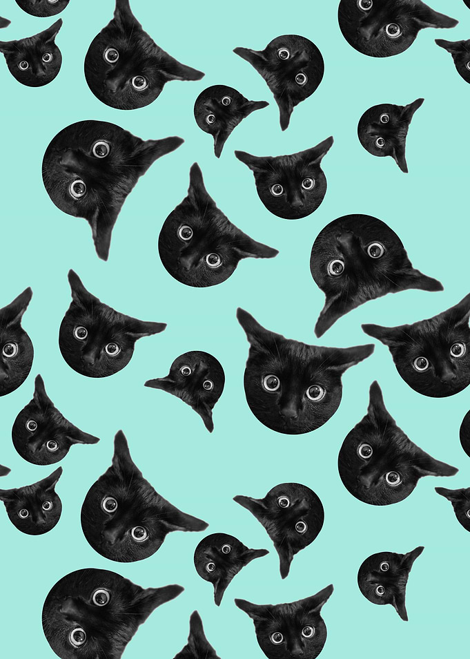 Flying cats