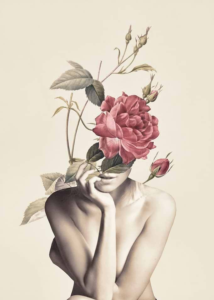 Bloom 3