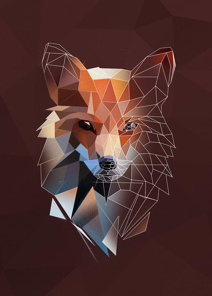 Fox - sketch