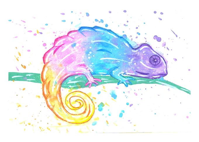 Colourful Chamaleon.