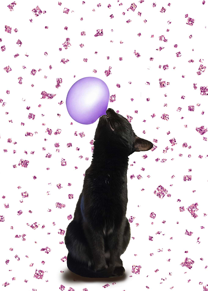 Cat with bubblegum