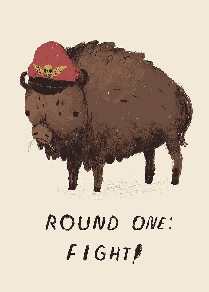 round one: fight!