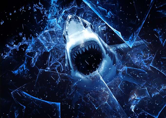 Shark
