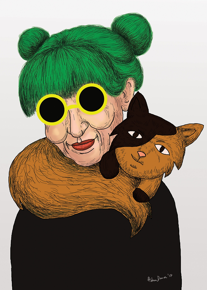 Crazy cat lady 1