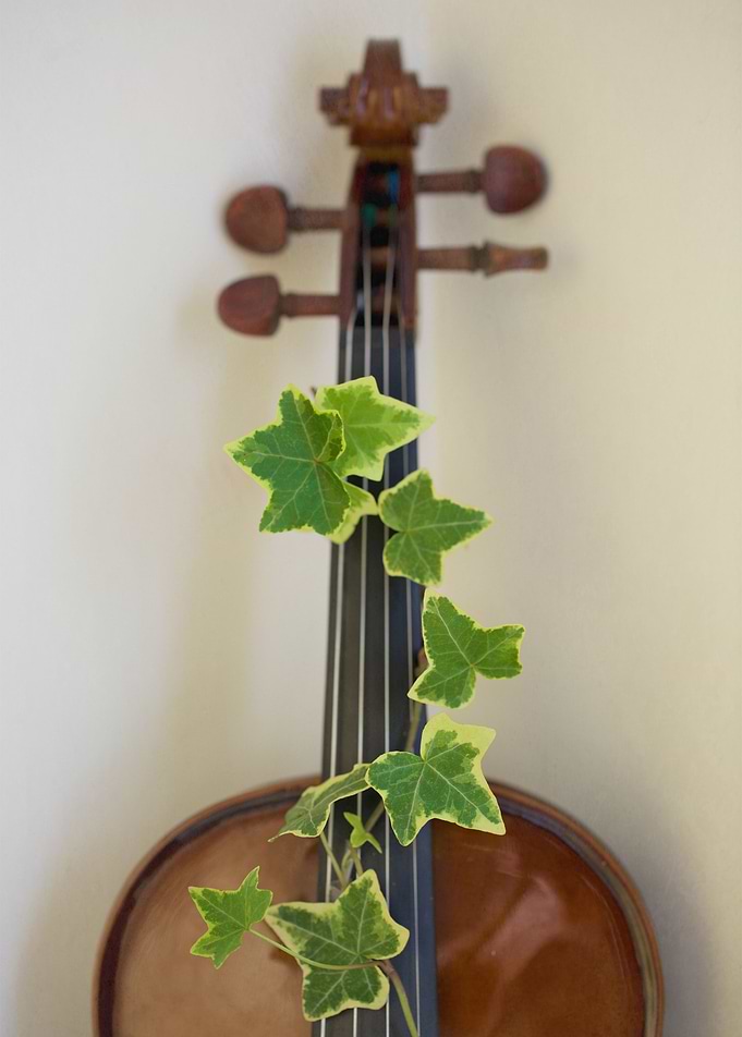 Natural Music