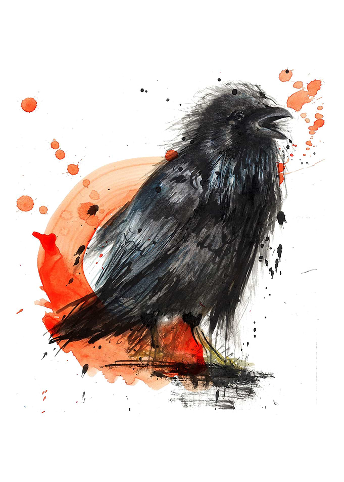 Crow