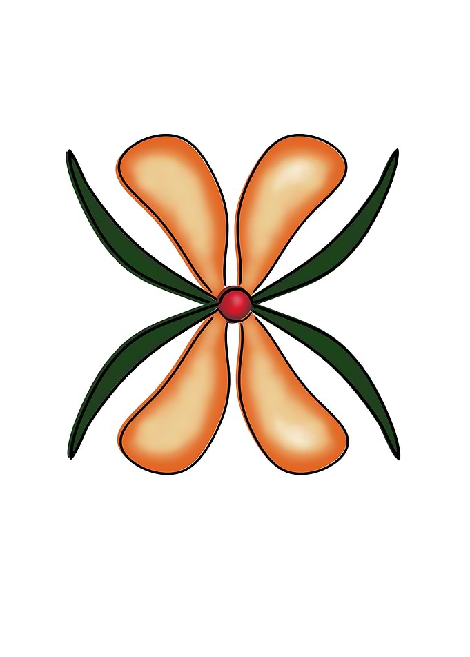 Not an Orchid