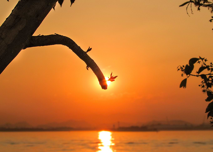 Sunset on the Lake