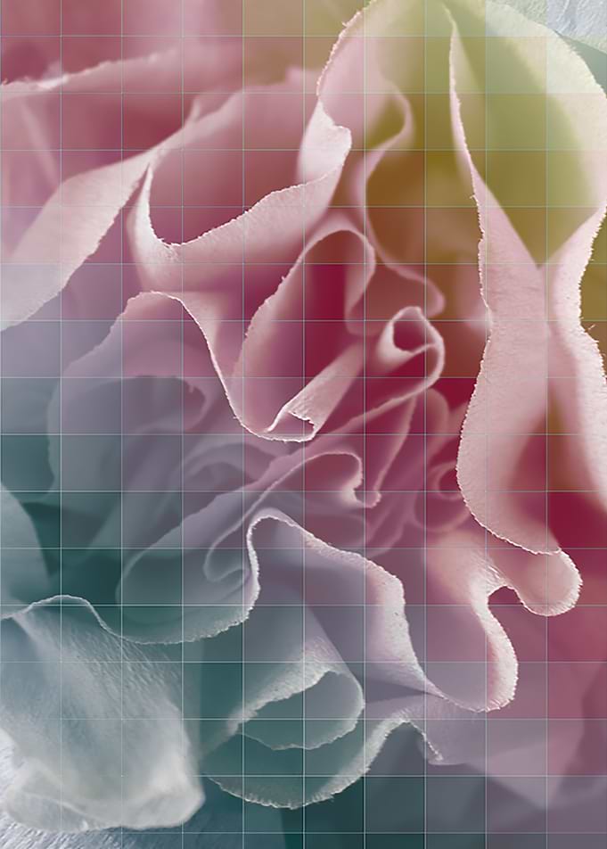 Floral background