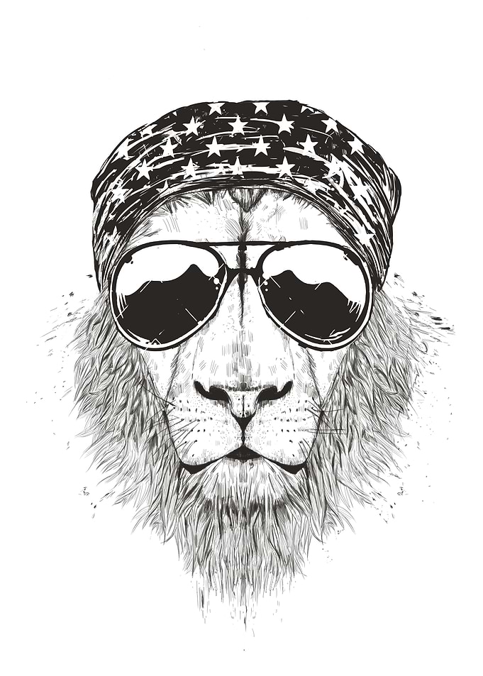Wild lion